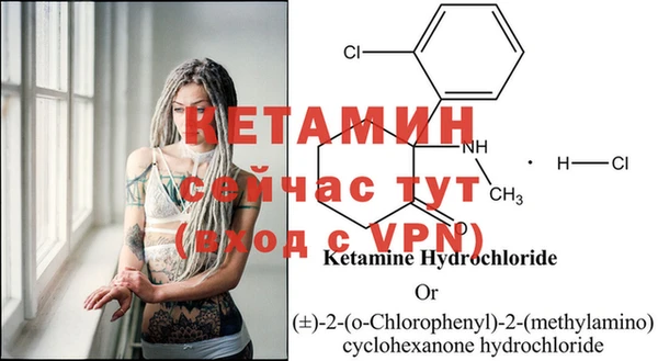 PSILOCYBIN Верея